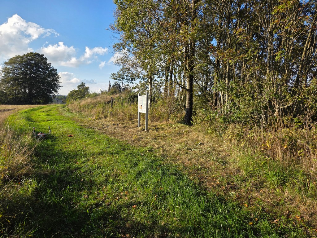 Röjning av sly vid en informationstavla inför Kommunens invigning.